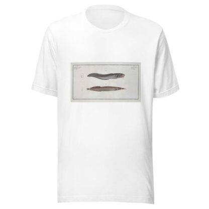 1. Ophidium Barbatum; 2. Ophidium aculeatum. by Marcus Elieser Bloch T-Shirt