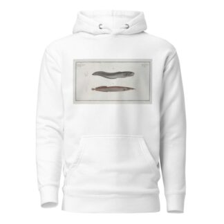 1. Ophidium Barbatum; 2. Ophidium aculeatum. by Marcus Elieser Bloch Hoodie