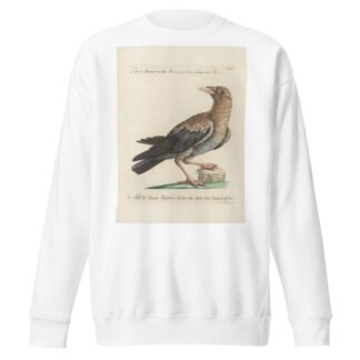 Ornithologia methodice digesta Pl.139 by Saverio Manetti Sweatshirt