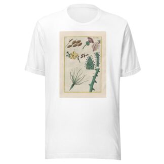 Rerum naturalium historia nempe quadrupedum Pl.29 by Filippo Buonanni T-Shirt