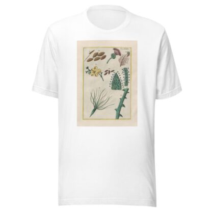 Rerum naturalium historia nempe quadrupedum Pl.29 by Filippo Buonanni T-Shirt