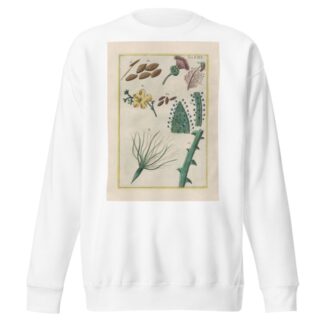 Rerum naturalium historia nempe quadrupedum Pl.29 by Filippo Buonanni Sweatshirt