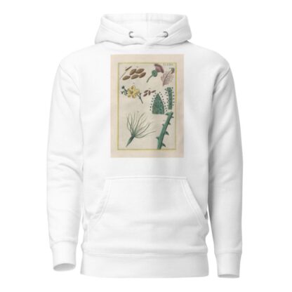 Rerum naturalium historia nempe quadrupedum Pl.29 by Filippo Buonanni Hoodie