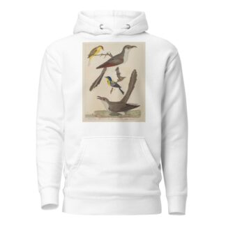 Carolina Cuckoo, Black-billed Cuckoo, Blue Yellow-backed Warbler, and Yellow Red-poll Warbler by Alexander Lawson Hoodie