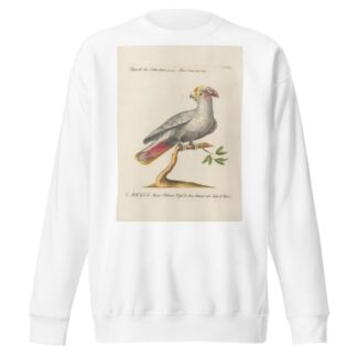 Ornithologia methodice digesta Pl.119 by Saverio Manetti Sweatshirt