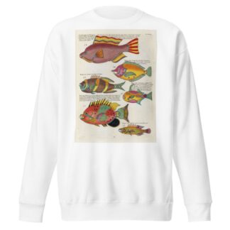 Poissons, ecrevisses et crabes, de diverses couleurs et figures extraordinaires.. Pl.047 by Louis Renard Sweatshirt