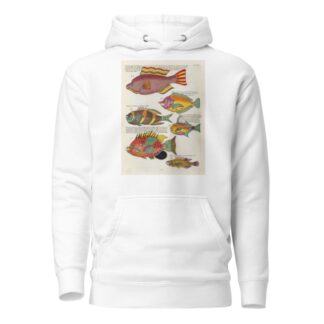 Poissons, ecrevisses et crabes, de diverses couleurs et figures extraordinaires.. Pl.047 by Louis Renard Hoodie