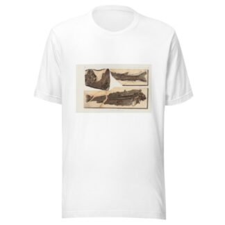 Recherches sur les poissons fossiles Pl.067 by Louis Agassiz T-Shirt