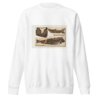 Recherches sur les poissons fossiles Pl.067 by Louis Agassiz Sweatshirt