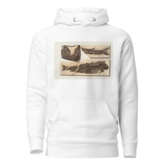 Recherches sur les poissons fossiles Pl.067 by Louis Agassiz Hoodie