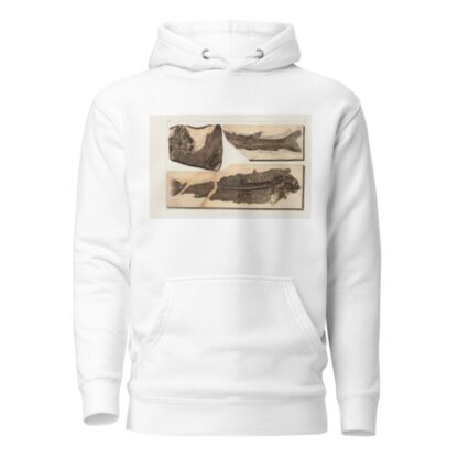 Recherches sur les poissons fossiles Pl.067 by Louis Agassiz Hoodie