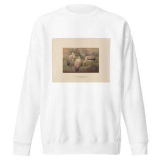 The African Wood-Ibis by Joseph Wolf Sweatshirt