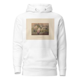 The African Wood-Ibis by Joseph Wolf Hoodie