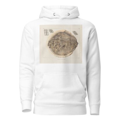 Recherches sur les poissons fossiles Pl.166 by Louis Agassiz Hoodie