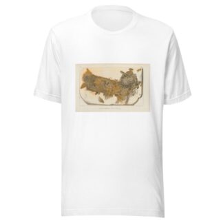 Recherches sur les poissons fossiles Pl.202 by Louis Agassiz T-Shirt