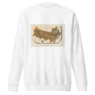 Recherches sur les poissons fossiles Pl.202 by Louis Agassiz Sweatshirt