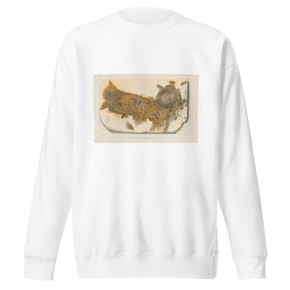 Recherches sur les poissons fossiles Pl.202 by Louis Agassiz Sweatshirt