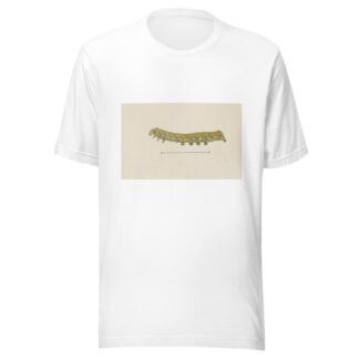 Entomology watercolour Pl.026 by George Hudson T-Shirt