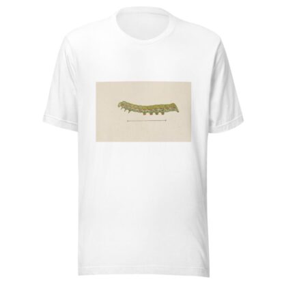 Entomology watercolour Pl.026 by George Hudson T-Shirt