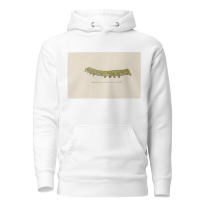 Entomology watercolour Pl.026 by George Hudson Hoodie