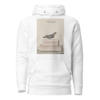 Natural history of Saint Domingue Pl.010 by René de Rabié Hoodie