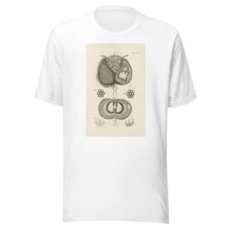 The book of nature, or, The history of insects Pl.20 by Jan Swammerdam T-Shirt