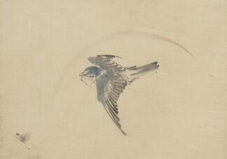 A bird flying to the left, seen from above by Katsushika Hokusai