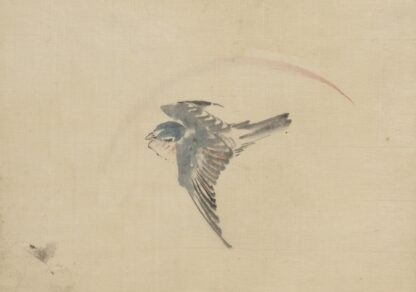 A bird flying to the left, seen from above by Katsushika Hokusai