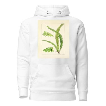 A century of ferns Pl.17 by William Jackson Hooker Hoodie