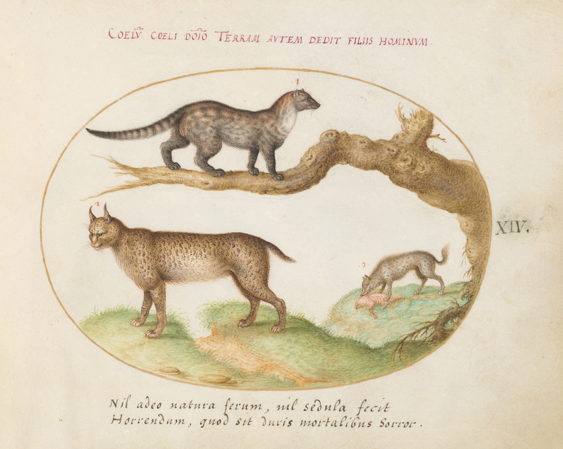 A Civet, a Lynx, and a Hyena Eating a Dog by Joris Hoefnagel