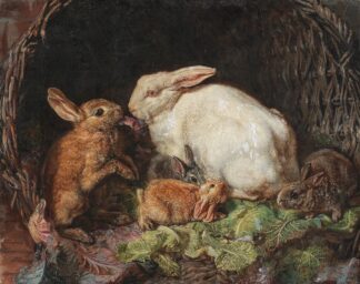 A Family of Hares by Friedrich Heimerdinger
