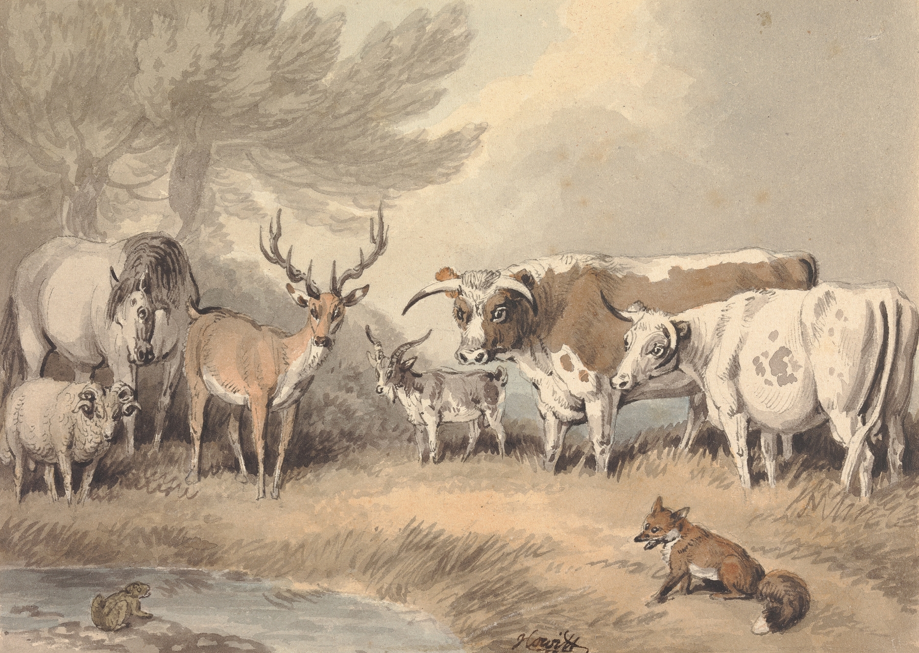 A Frog Confronting a Circle of Animals by Samuel Howitt