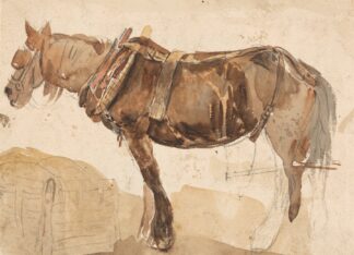 A Horse in Harness Seen From the Near Side by Thomas Sidney Cooper