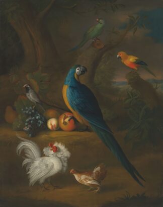 A macaw and other birds in a landscape by Leonard Hübner