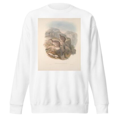 A monograph of the Macropodidae, or family of kangaroos Pl.06 by John Gould Sweatshirt