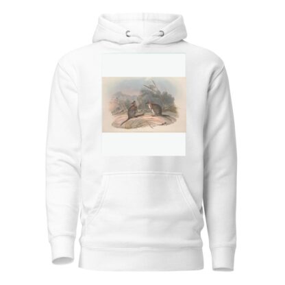 A monograph of the Macropodidae, or family of kangaroos Pl.21 by John Gould Hoodie