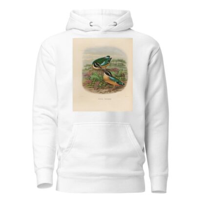 A monograph of the Pittidæ, or family of ant-thrushes Pl.19 by Daniel Giraud Elliot Hoodie