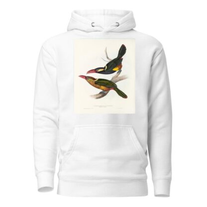 A monograph of the Ramphastidae, or family of toucans Pl.22 by John Gould Hoodie