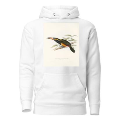 A monograph of the Ramphastidae, or family of toucans Pl.23 by John Gould Hoodie