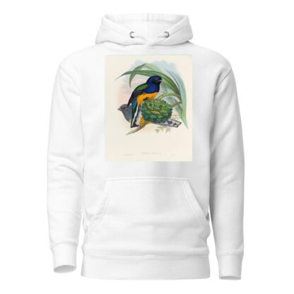 A monograph of the Trogonidae or family of trogons Pl.19 by John Gould Hoodie