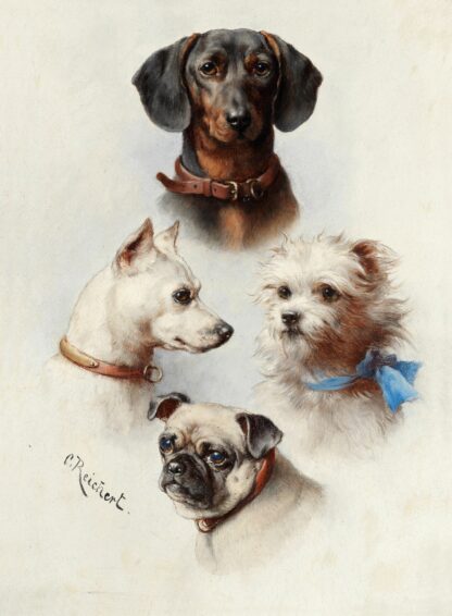 A motley crew by Carl Reichert