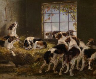 A Pack of Hounds by V. Witte