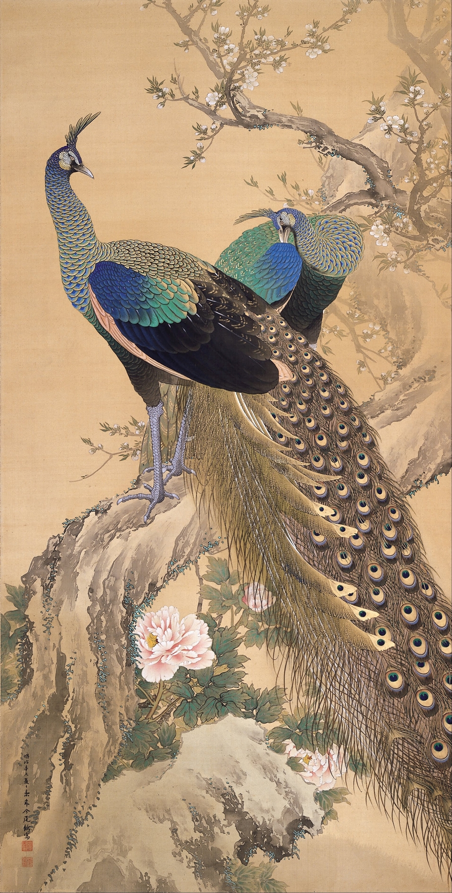 A Pair of Peacocks in Spring by Imao Keinen