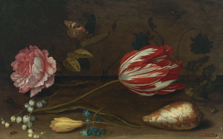 A rose, a tulip, insects, and a shell on a ledge by Balthasar van der Ast