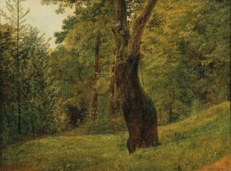 A Tree at the Edge of the Woods by Circle of Friedrich Gauermann