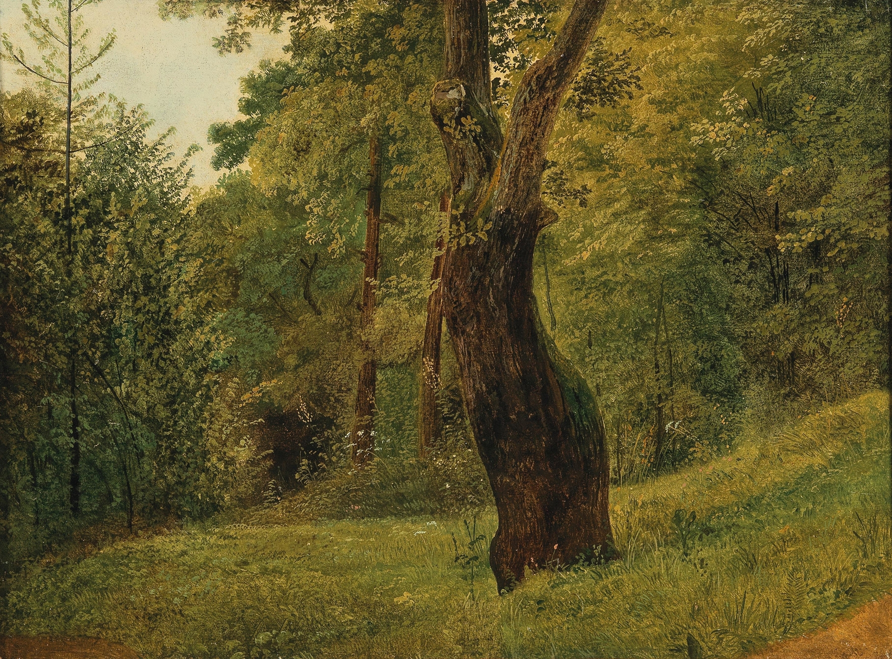 A Tree at the Edge of the Woods by Circle of Friedrich Gauermann
