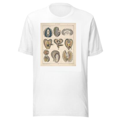 Abbildungen zu Oken’s Allgemeiner Naturgeschichte für alle Stände Pl.067 by Lorenz Oken T-Shirt