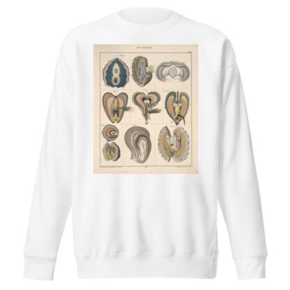 Abbildungen zu Oken’s Allgemeiner Naturgeschichte für alle Stände Pl.067 by Lorenz Oken Sweatshirt
