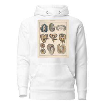 Abbildungen zu Oken’s Allgemeiner Naturgeschichte für alle Stände Pl.067 by Lorenz Oken Hoodie