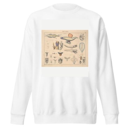 Abbildungen zu Oken’s Allgemeiner Naturgeschichte für alle Stände Pl.071 by Lorenz Oken Sweatshirt